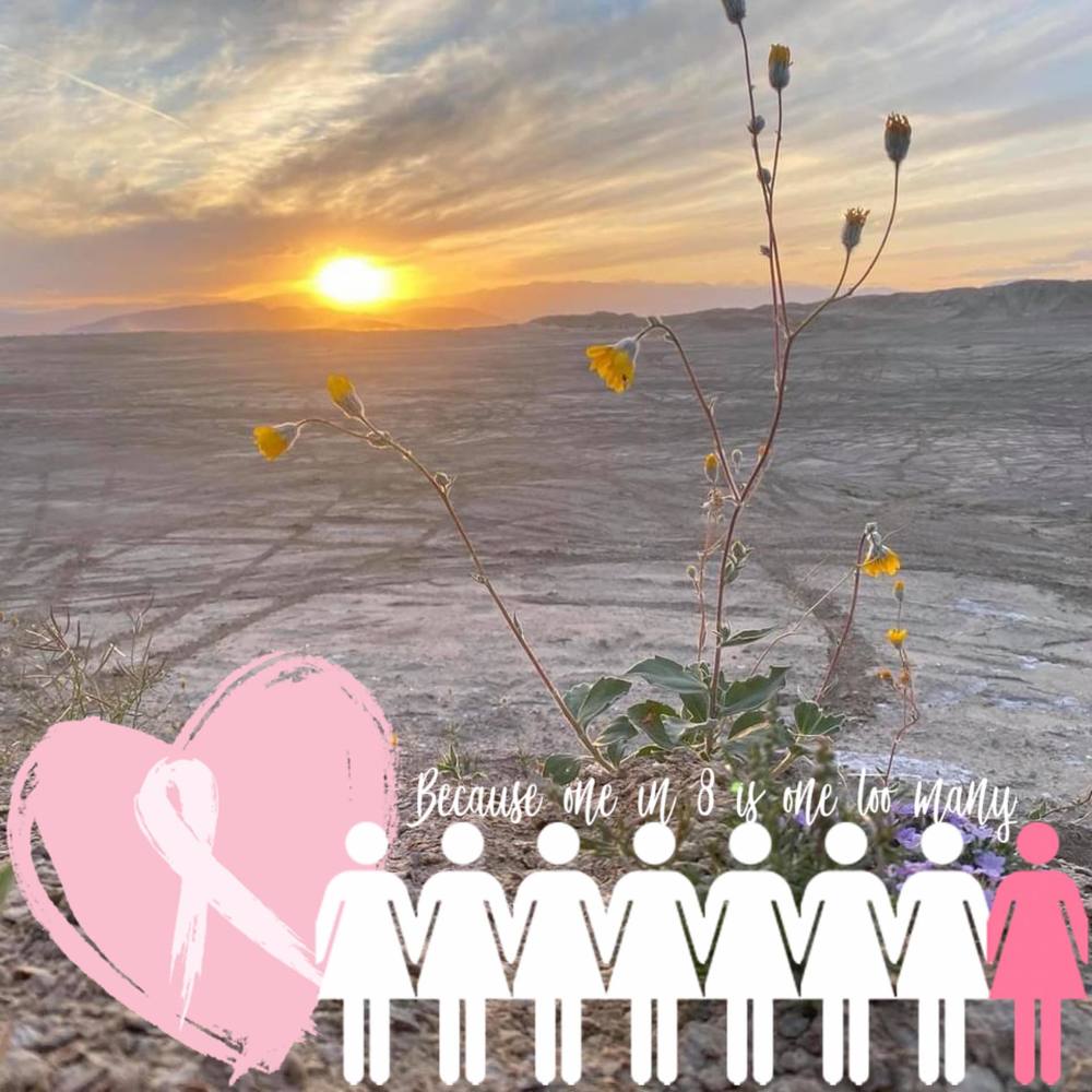 Meet your Posher, Dana